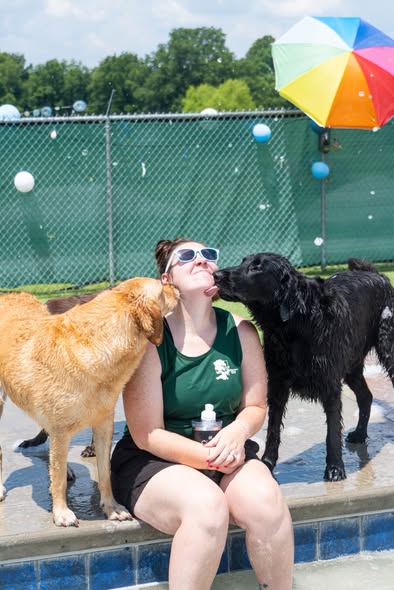 May be an image of swimming and dog