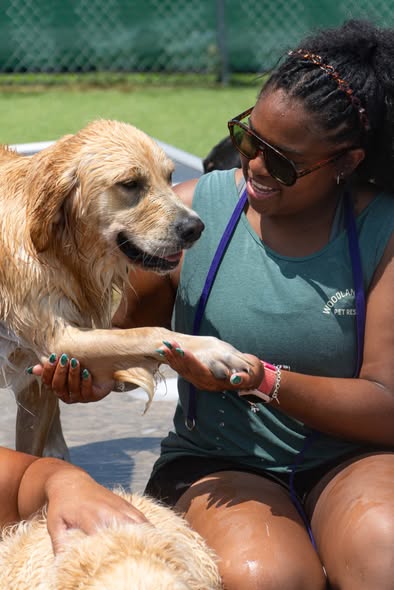 May be an image of swimming and dog