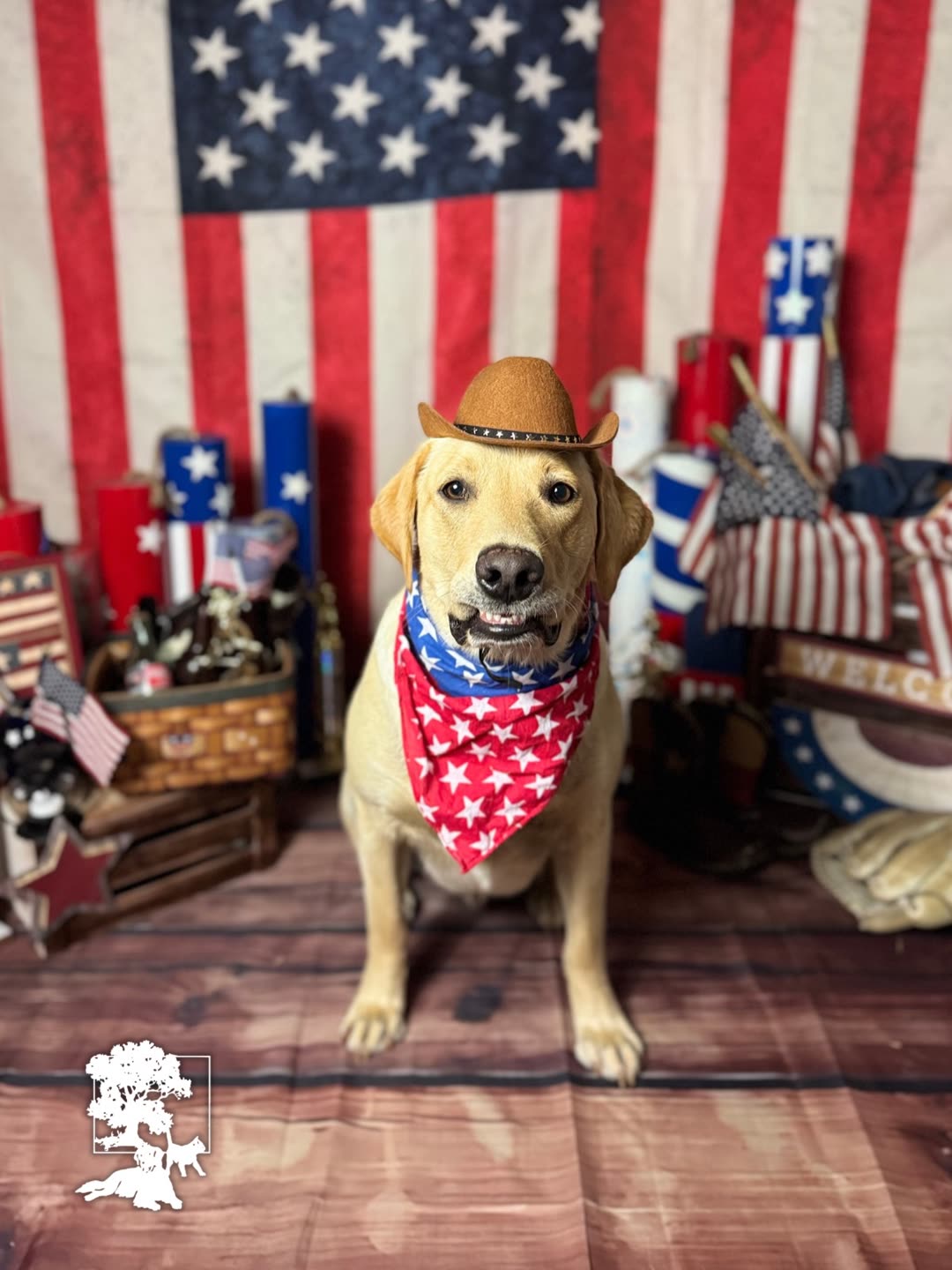 Photo by Woodland West Pet Resort on June 22, 2026.