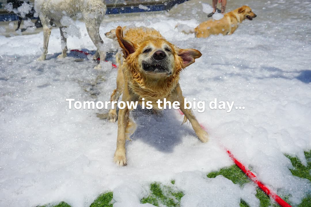 Photo by Woodland West Pet Resort on July 13, 2026.
