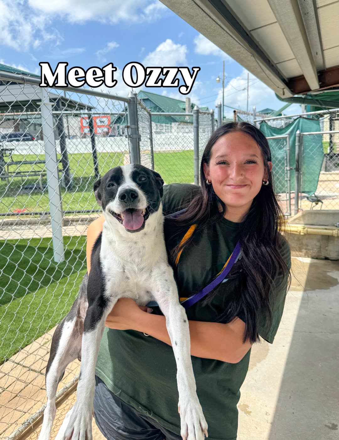 Photo by Woodland West Pet Resort on July 16, 2026.